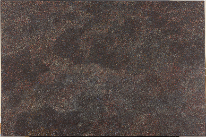 《Thorny Devil Lizard Dreaming》