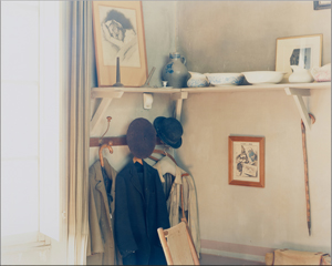 《サンサシオン 09, C-83》 2009年　発色現像方式印画