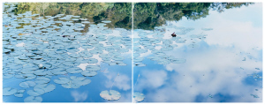 《左：水鏡 14, WM-77   右：水鏡 14, WM-79》 2014年　発色現像方式印画